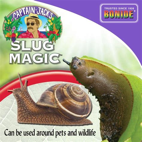 Bpnide slug magic